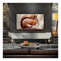 LG OLED AI B5 48" 4K Smart TV