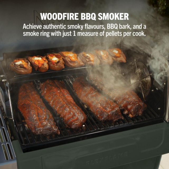 Ninja PG301UK FlexFlame Gas BBQ & Outdoor Cooking System