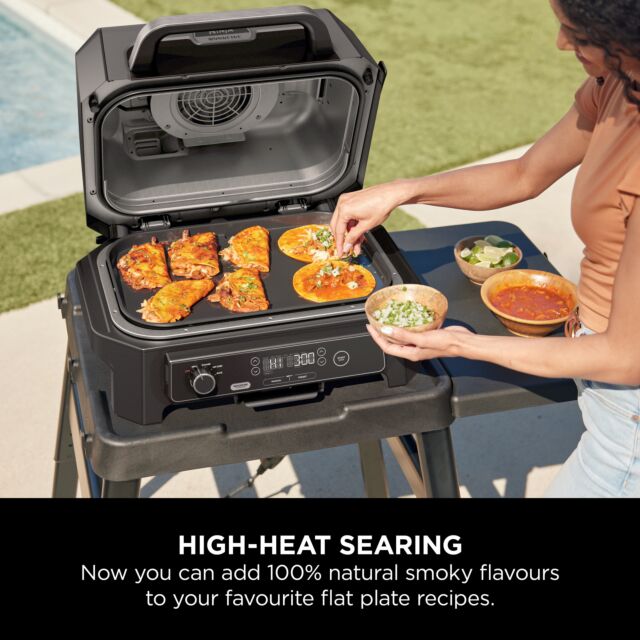Ninja XSKOGXLFPLTEU Woodfire XL Flat Plate - Black